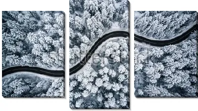 Модульная картина Чёрная змейка дороги в заснеженном хвойном лесу