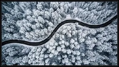 Картина Чёрная змейка дороги в заснеженном хвойном лесу