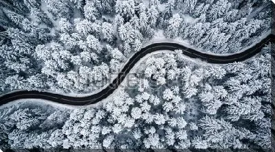 Постер Чёрная змейка дороги в заснеженном хвойном лесу