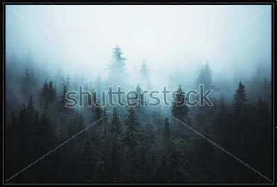 Фантастический пейзаж с густым туманом в еловом лесу