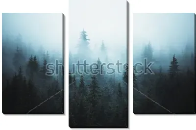 Фантастический пейзаж с густым туманом в еловом лесу