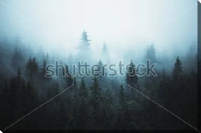 Фантастический пейзаж с густым туманом в еловом лесу