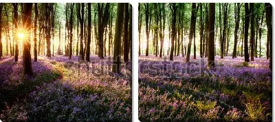 Модульная картина Волшебное утро в весеннем цветущем лесу