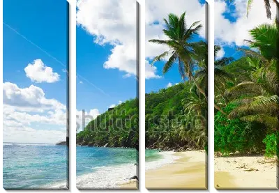 Модульная картина Прекрасный тропический пейзаж с пальмами на берегу лазурного моря
