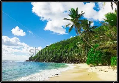 Картина Прекрасный тропический пейзаж с пальмами на берегу лазурного моря