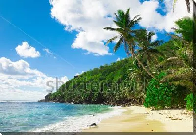 Постер Прекрасный тропический пейзаж с пальмами на берегу лазурного моря