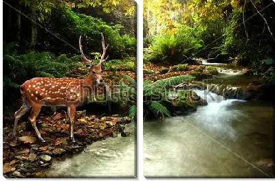 Модульная картина Грациозный пятнистый олень у реки в дремучем лесу