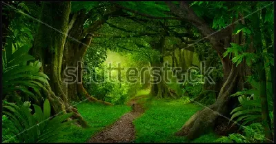 картина