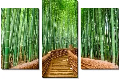 Живописная деревянная тропинка в зелёном бамбуковом лесу (Киото, Япония)