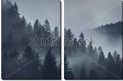 Модульная картина Укутанный низкими облаками хвойный лес