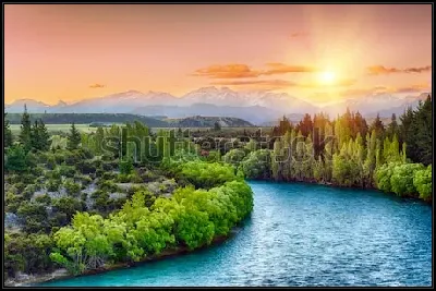 картина