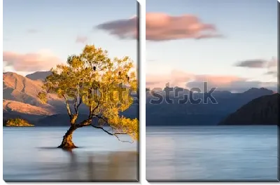 Модульная картина Таинственный пейзаж с одиноким красивым деревом в озере Ванака  (Новая Зеландия)
