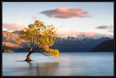 Картина Таинственный пейзаж с одиноким красивым деревом в озере Ванака  (Новая Зеландия)