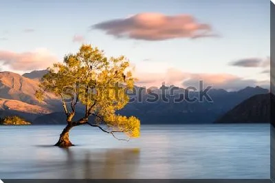 Постер Таинственный пейзаж с одиноким красивым деревом в озере Ванака  (Новая Зеландия)