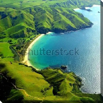 Картина маслом Вид на прекрасные зелёные холмы вдоль озера Таупо в Новой Зеландии