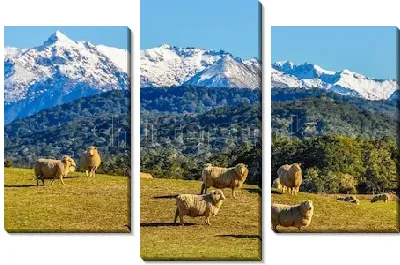 Модульная картина Пейзаж с овцами на зелёном лугу на фоне снежных вершин и красивого леса (Новая Зеландия)