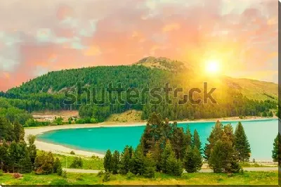 картина