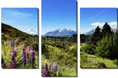 Модульная картина Прекрасный пейзаж с цветущими люпинами и хвойными деревьями на фоне снежных вершин в Национальном парке Маунт-Кук на Южном острове Новой Зеландии 