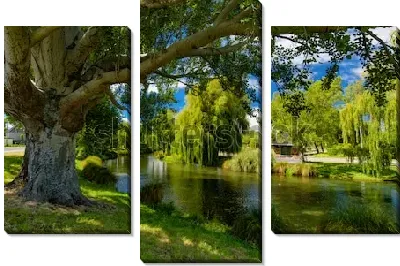 Живописнейшие ивы на берегу реки Эйвон в Крайстчерче (Новая Зеландия)