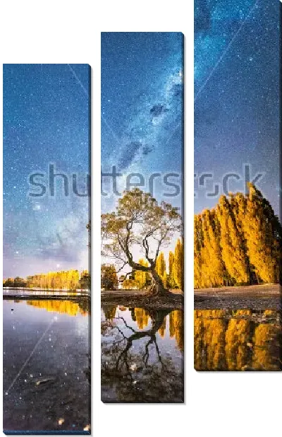 Модульная картина Млечный Путь над деревом озера Ванака (Новая Зеландия)