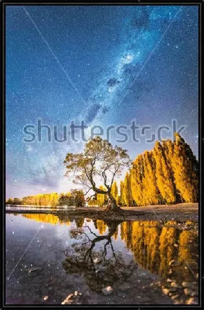 Картина Млечный Путь над деревом озера Ванака (Новая Зеландия)