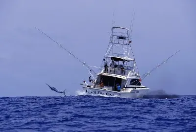 шаблон id 38