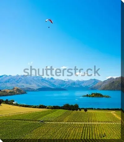 Картина маслом Великолепный пейзаж с парапланом над озером Ванака и виноградниками на фоне гор (Новая Зеландия)