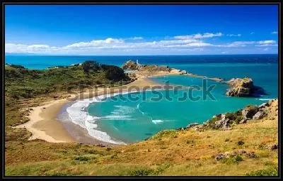 Картина Прекрасный вид на синий океан со стороны пляжа на Северном острове в Новой Зеландии