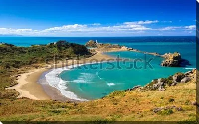 Картина маслом Прекрасный вид на синий океан со стороны пляжа на Северном острове в Новой Зеландии