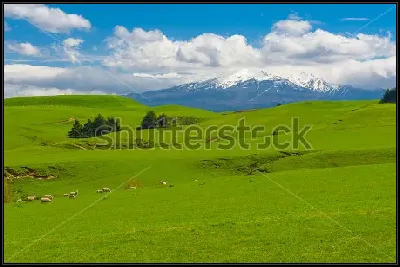 картина