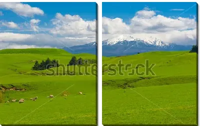 картина