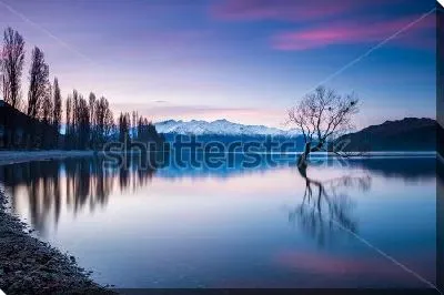 Картина маслом Живописный зимний пейзаж с одиноким деревом в озере Ванака на закате (Новая Зеландия)