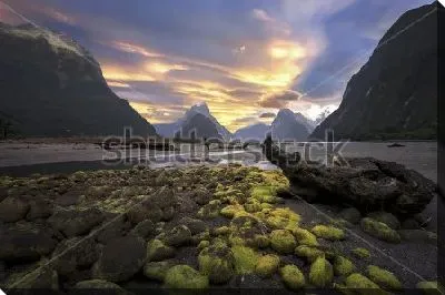 Картина маслом Прекрасный вид на закат в бухте фьордов Милфорд-Саунд (Новая Зеландия)