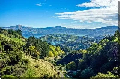 Картина маслом Впечатляющий пейзаж с горными долинами, лесами и холмами в ясный солнечный день (Новая Зеландия)