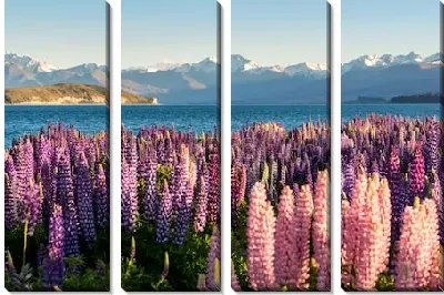Модульная картина Весенний пейзаж с прекрасными люпинами на берегу озера Текапо на фоне великолепных гор (Новая Зеландия)