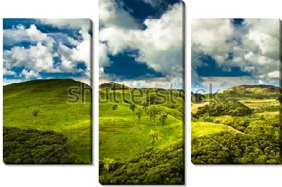 Модульная картина Прекрасная панорама зелёных холмов на фоне ярко-голубого неба с белоснежными облаками на Южном острове (Новая Зеландия)