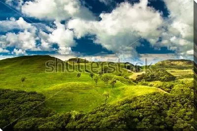 Картина маслом Прекрасная панорама зелёных холмов на фоне ярко-голубого неба с белоснежными облаками на Южном острове (Новая Зеландия)