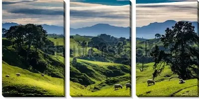 Модульная картина Прекрасный атмосферный пейзаж Новой Зеландии с зелёными холмами на фоне гор и пасущимися овцами