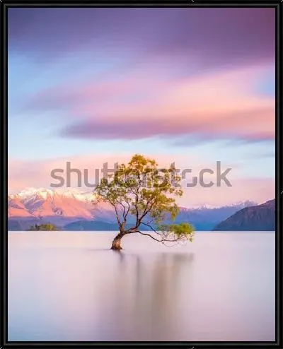 Картина Знаменитое одинокое дерево в озере Канака нав момент удивительного восхода солнца (Новая Зеландия)