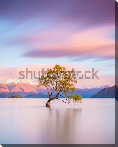 Постер Знаменитое одинокое дерево в озере Канака нав момент удивительного восхода солнца (Новая Зеландия)