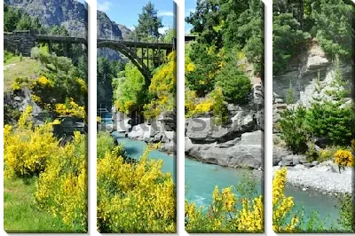 Модульная картина Весенний пейзаж с цветущими кустарниками на скалистых берегах узкого каньона и старинным деревянным мостом через реку Шотовер (Квинстаун, Новая Зеландия)