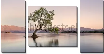 Модульная картина Живописное знаменитое дерево в озере Ванака на рассвете (Новая Зеландия)