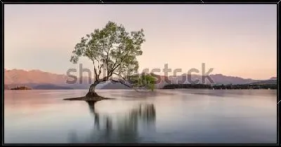 Картина Живописное знаменитое дерево в озере Ванака на рассвете (Новая Зеландия)