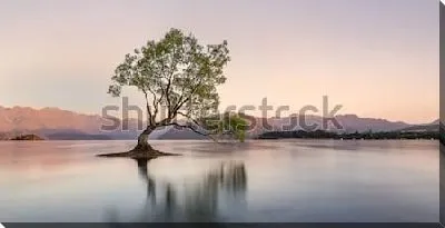 Постер Живописное знаменитое дерево в озере Ванака на рассвете (Новая Зеландия)