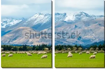 Модульная картина Потрясающий пейзаж Новой Зеландии с отарой овец на зелёных пастбищах на фоне красивых величественных гор в пасмурный день