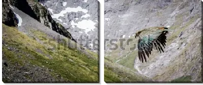 Модульная картина Прекрасный оливково-зелёный попугай Кеа в полёте среди скал Новой Зеландии