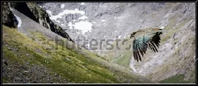 Картина Прекрасный оливково-зелёный попугай Кеа в полёте среди скал Новой Зеландии