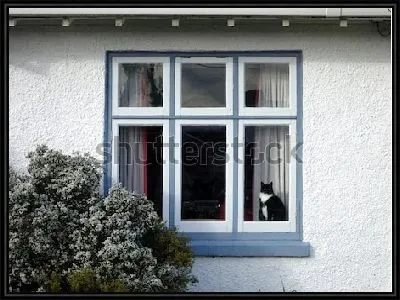 Картина Чёрно-белый кот сидит на подоконнике старого дома 