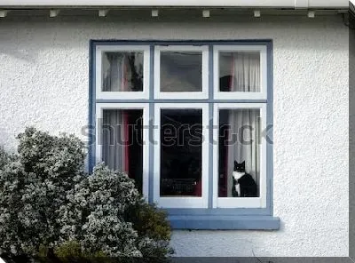 Постер Чёрно-белый кот сидит на подоконнике старого дома 