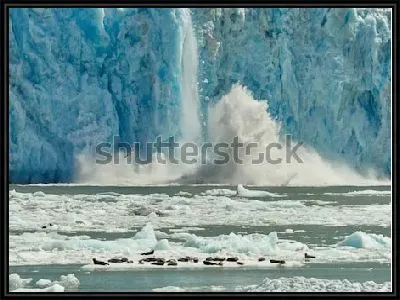 Морские тюлени на льдине на фоне огромного тающего ледника